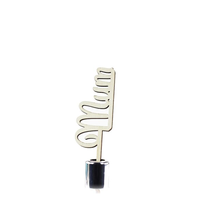 Ashleigh & Burwood - The Scented Home: Decorative Reeds - Mum Sentiment Reed